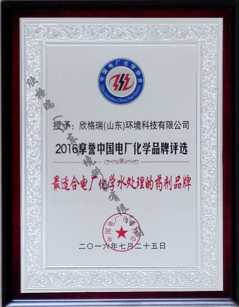 最适合電(diàn)厂化學(xué)水处理(lǐ)的药剂品牌
