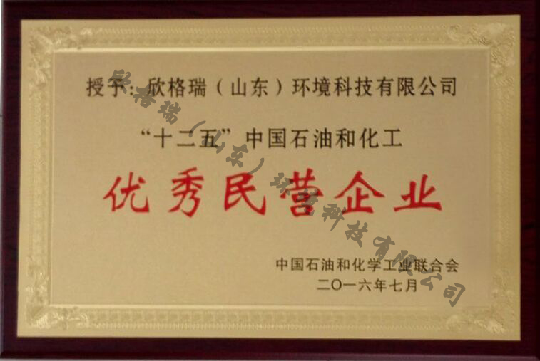 中國(guó)石油和化工优秀民(mín)营企业