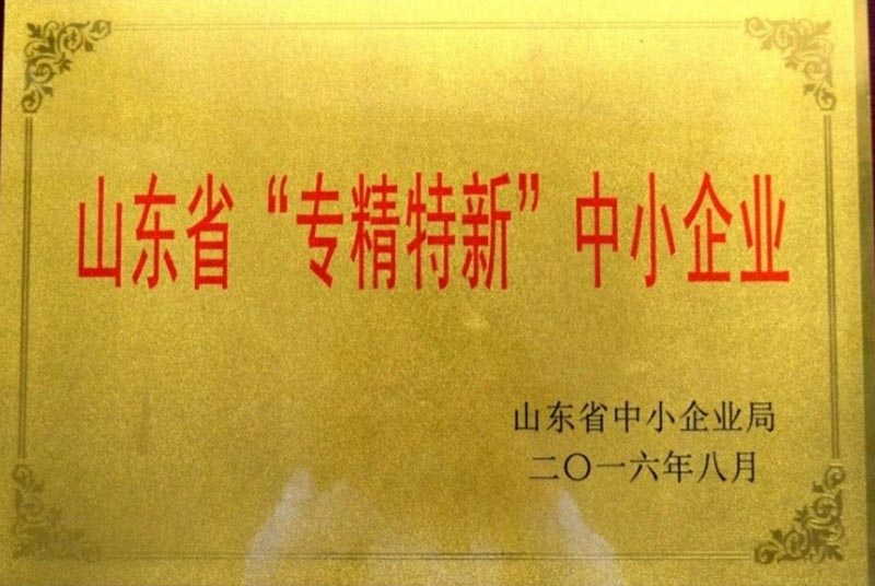 山(shān)东省专精特新(xīn)企业