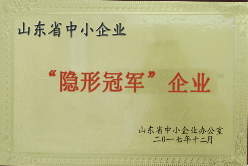 山(shān)东省隐形冠军企业
