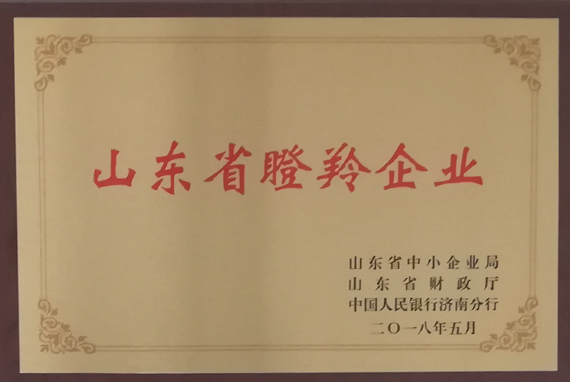 山(shān)东省瞪聆企业